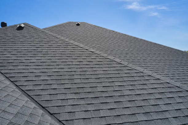 Best Roof Moss and Algae Removal  in Chatham, IL