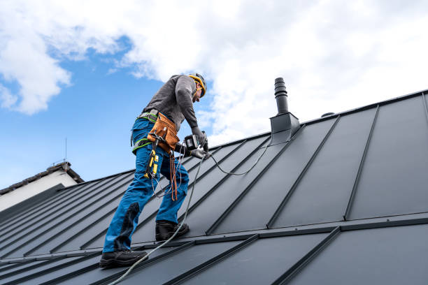 Best Roof Leak Repair  in Chatham, IL