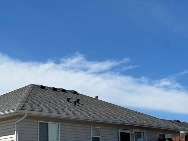 Trusted Chatham, IL Roofing Service Experts